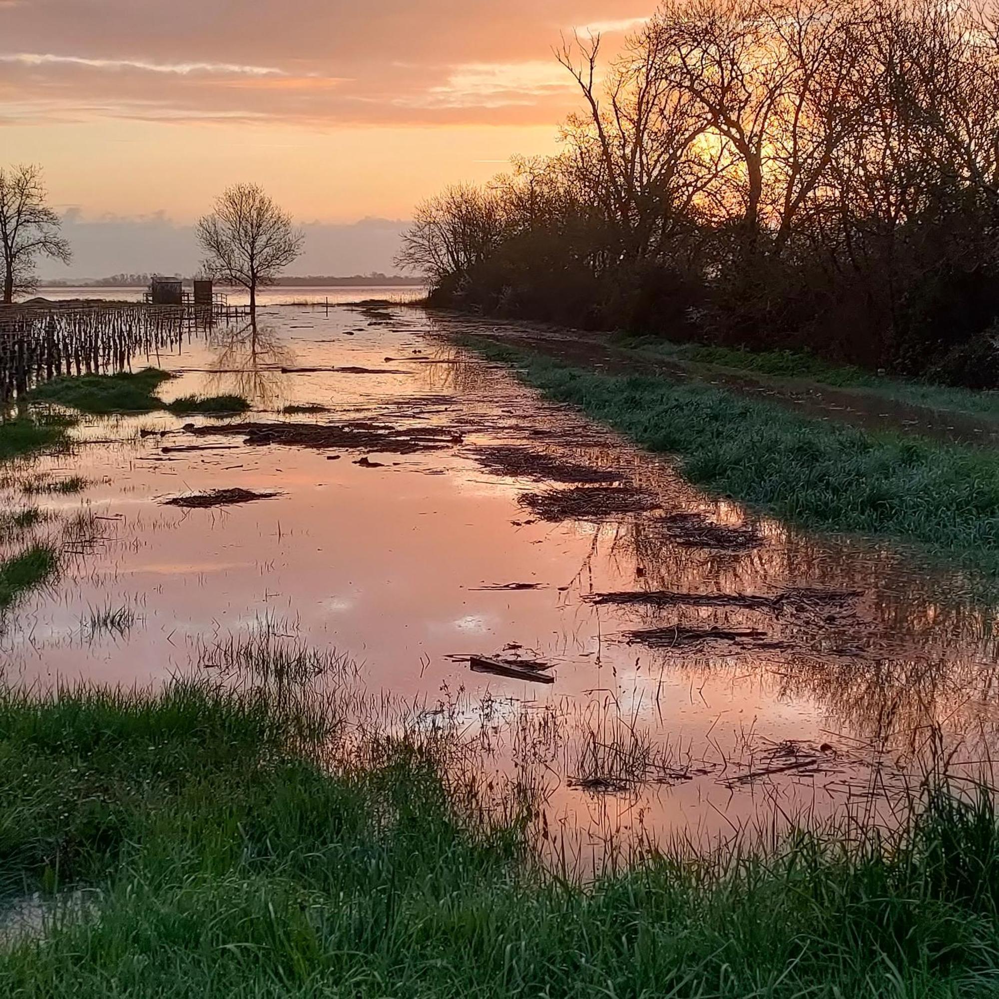 Casa Tranquila Cerca El Estuario Villa Pauillac Bagian luar foto